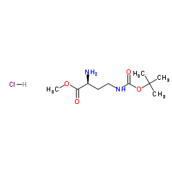 H-Dab(Boc)-Ome.HCl structure