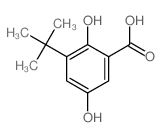 Benzoicacid, 3-(1,1-dimethylethyl)-2,5-dihydroxy-结构式