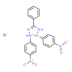 2,3-di-(4-nitrophenyl)-5-phenyl-2H-tetrazolium picture