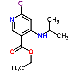 Ethyl 6-chloro-4-(isopropylamino)nicotinate结构式