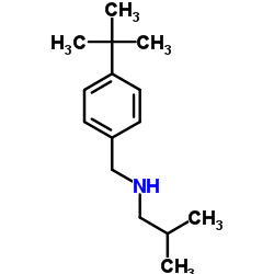 2-Methyl-N-[4-(2-methyl-2-propanyl)benzyl]-1-propanamine结构式