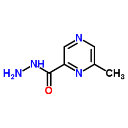 6-Methyl-2-pyrazinecarbohydrazide结构式