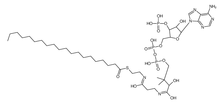 S-[2-[3-[[(2R)-4-[[[(2R,3S,4R,5R)-5-(6-aminopurin-9-yl)-4-hydroxy-3-phosphonooxyoxolan-2-yl]methoxy-hydroxyphosphoryl]oxy-hydroxyphosphoryl]oxy-2-hydroxy-3,3-dimethylbutanoyl]amino]propanoylamino]ethyl] icosanethioate Structure