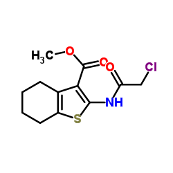 2-(2-CHLORO-ACETYLAMINO)-4,5,6,7-TETRAHYDRO-BENZO[B]THIOPHENE-3-CARBOXYLIC ACID METHYL ESTER结构式