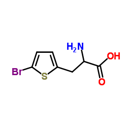 3-(5-Bromo-2-thienyl)alanine图片