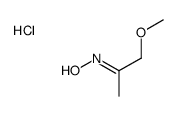 N-(1-methoxypropan-2-ylidene)hydroxylamine,hydrochloride结构式