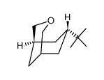 (1S,7R)-7-tert-Butyl-3-oxa-bicyclo[3.3.1]nonane结构式