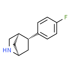 2-Azabicyclo[2.2.1]heptane,5-(4-fluorophenyl)-,(1R,4R,5R)-rel-(9CI)结构式