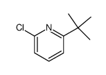 2-tert-butyl-6-chloropyridine structure