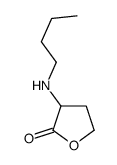 3-(butylamino)oxolan-2-one Structure