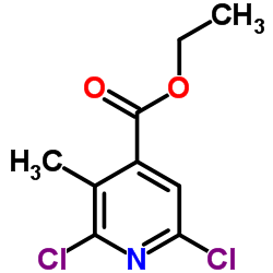 Ethyl 2,6-dichloro-3-methylisonicotinate Structure