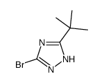 3-bromo-5-tert-butyl-1H-1,2,4-triazole structure