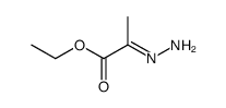 Propanoic acid, 2-hydrazono-, ethyl ester (9CI)结构式