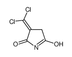 3-(dichloromethylidene)pyrrolidine-2,5-dione结构式