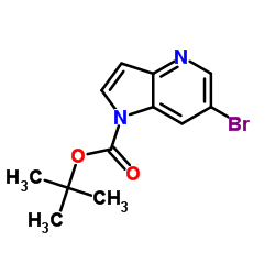 tert-Butyl 6-bromo-1H-pyrrolo[3,2-b]pyridine-1-carboxylate Structure