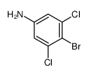 4-溴-3,5-二氯苯胺图片