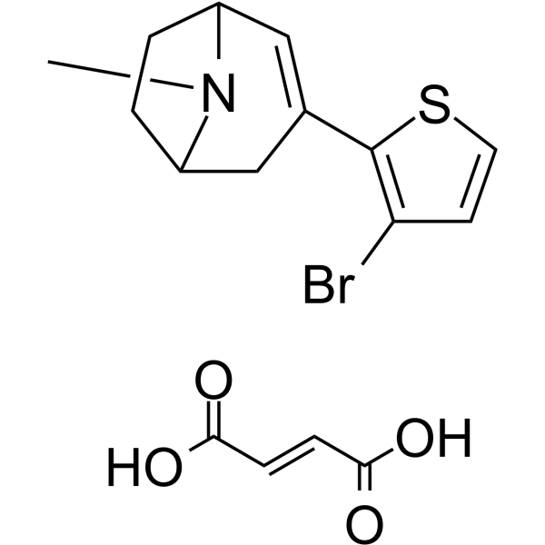 NS3861 structure