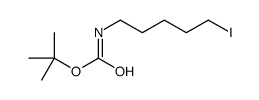 tert-Butyl (5-iodopentyl)carbamate picture