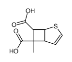 6-Methyl-2-thiabicyclo[3.2.0]hept-3-ene-6,7-dicarboxylic acid structure