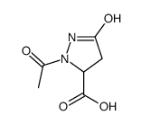 2-acetyl-5-oxopyrazolidine-3-carboxylic acid Structure