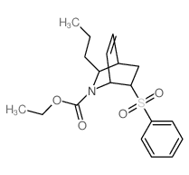 ethyl 6-(benzenesulfonyl)-8-propyl-7-azabicyclo[2.2.2]oct-2-ene-7-carboxylate结构式