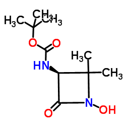 2-Methyl-2-propanyl [(3S)-1-hydroxy-2,2-dimethyl-4-oxo-3-azetidinyl]carbamate Structure