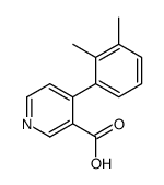 4-(2,3-dimethylphenyl)pyridine-3-carboxylic acid结构式