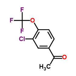 1-[3-Chloro-4-(trifluoromethoxy)phenyl]ethanone picture