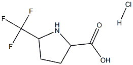 5-Trifluoromethyl-pyrrolidine-2-carboxylic acid hydrochloride structure