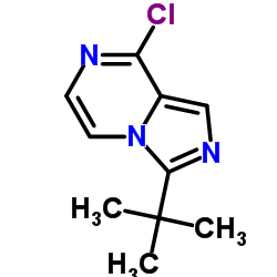 8-Chloro-3-(2-methyl-2-propanyl)imidazo[1,5-a]pyrazine Structure