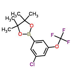 3-Chloro-5-(trifluoromethoxy)phenylboronic acid, pinacol ester Structure