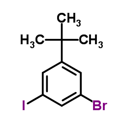1-Bromo-3-iodo-5-(2-methyl-2-propanyl)benzene Structure
