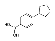 4-Cyclopentylphenylboronic acid (contains varying amounts of Anhydride) Structure