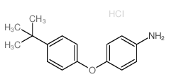 5-CHLORO-4-METHYL-1H-PYRROLO[2,3-B]PYRIDINE structure