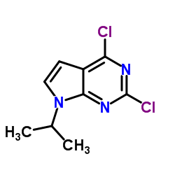 2,4-Dichloro-7-isopropyl-7H-pyrrolo[2,3-d]pyrimidine picture