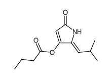 butyric acid 2,5-dihydro-2(Z)-isobutylidene-5-oxo-1H-pyrrol-3-yl ester Structure
