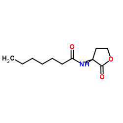 N-Heptanoyl-L-homoserine lactone structure
