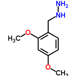 (2,4-Dimethoxybenzyl)hydrazine结构式