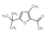 5-tert-butyl-3-methyl-furan-2-carboxylic acid structure