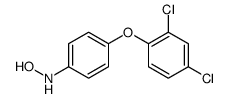 N-[4-(2,4-dichlorophenoxy)phenyl]hydroxylamine结构式