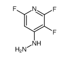 2,3,6-trifluoro-4-hydrazinopyridine Structure