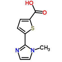 5-(1-Methyl-1H-imidazol-2-yl)-2-thiophenecarboxylic acid结构式