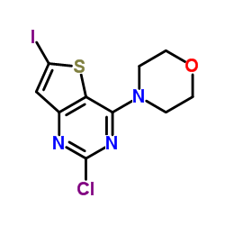 2-Chloro-6-iodo-4-(4-morpholinyl)thieno[3,2-d]pyrimidine结构式