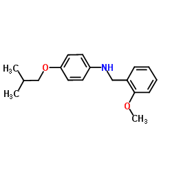4-Isobutoxy-N-(2-methoxybenzyl)aniline Structure