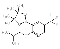2-异丁氧基-5-(三氟甲基)吡啶-3-硼酸频那醇酯图片