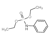 diethyl anilinophosphonate picture
