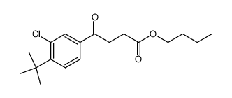 butyl 4-(3-chloro-4-tert-butyl-phenyl)-4-oxo-butanoate Structure