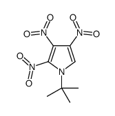 1-tert-Butyl-2,3,4-trinitro-pyrrole结构式