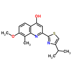 2-(4-Isopropyl-1,3-thiazol-2-yl)-7-methoxy-8-methylchinolin-4-ol structure