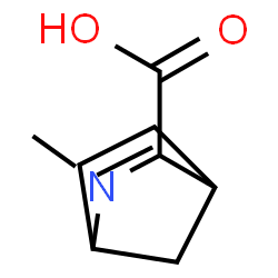 2-Azabicyclo[2.2.1]hept-5-ene-3-carboxylicacid,2-methyl-,exo-(9CI) Structure